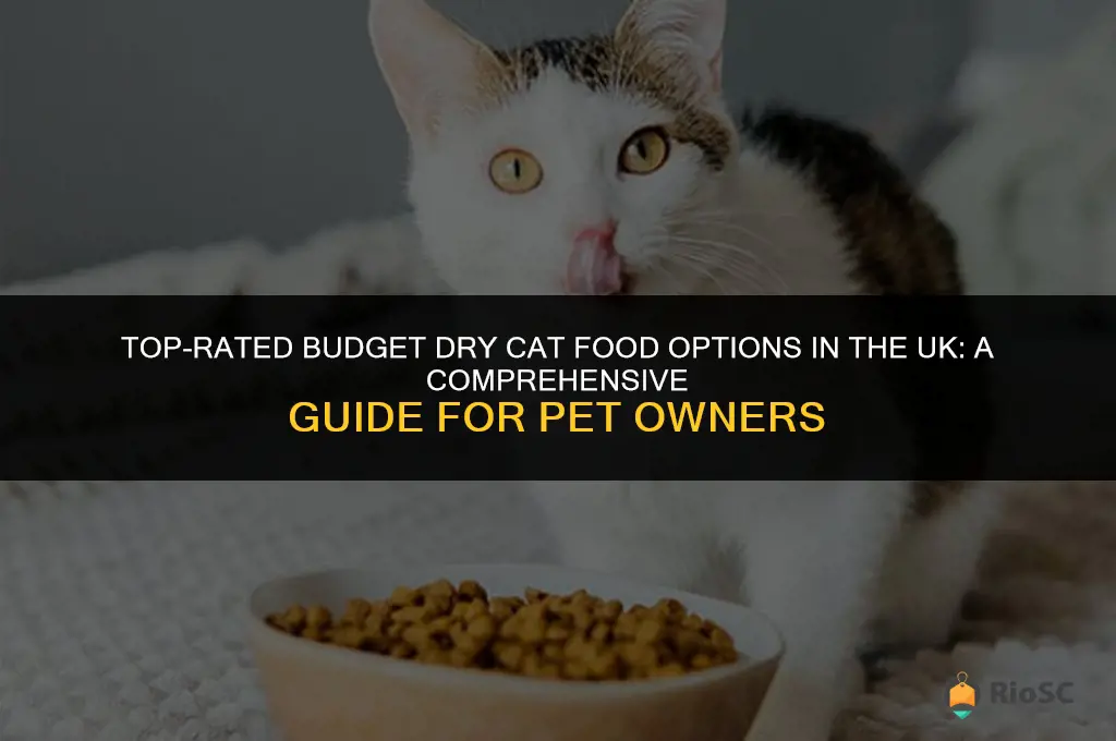 best budget dry cat food uk