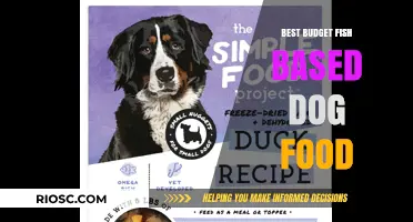 Affordable Nutrition: Top Fish-Based Dog Food Options on a Budget
