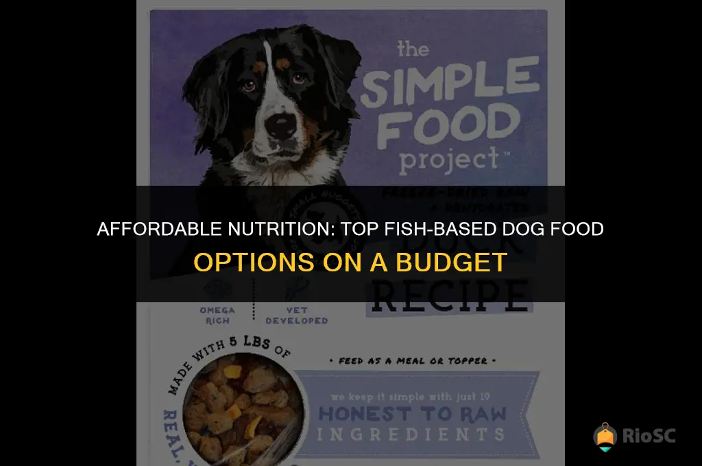 best budget fish based dog food