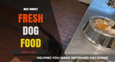 Affordable Nutrition: Top Budget-Friendly Fresh Dog Food Options