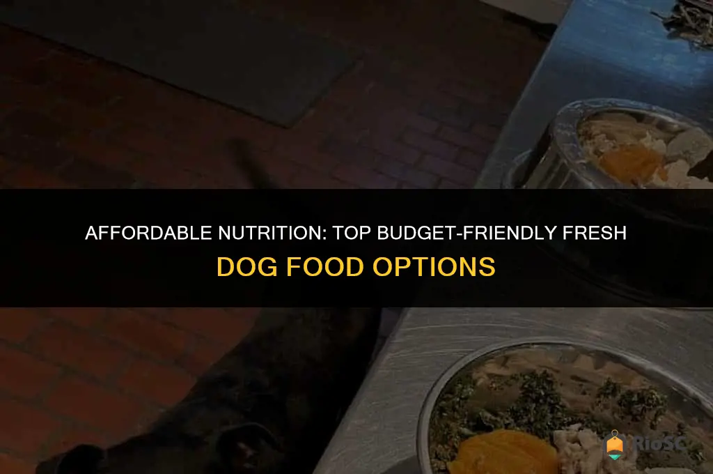 best budget fresh dog food