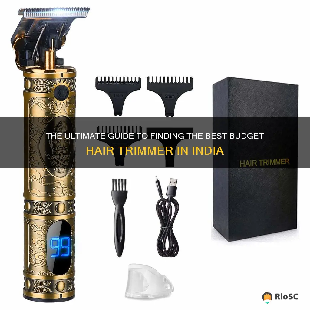 best budget hair trimmer india