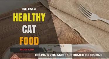 Nutritious and Affordable: Top Budget-Friendly Healthy Cat Food Options
