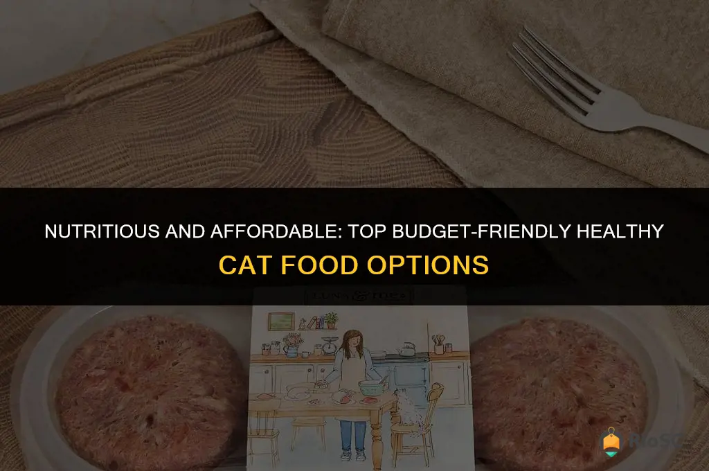 best budget healthy cat food