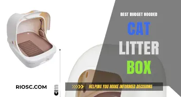 Affordable and Effective: Top Budget Hooded Cat Litter Boxes for a Cleaner Home