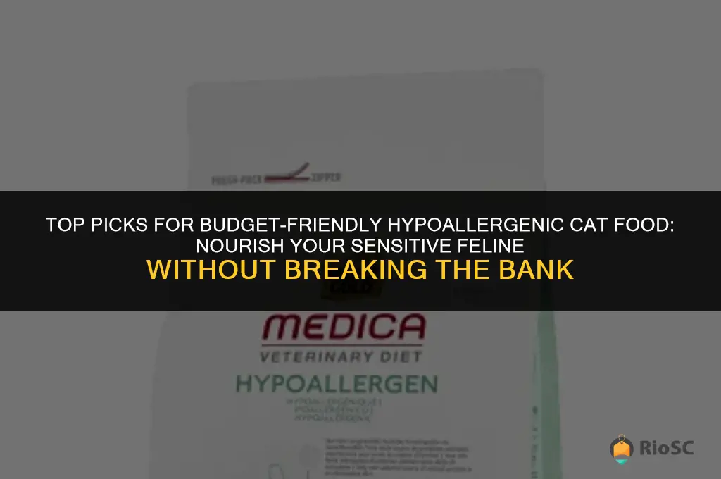 best budget hypoallergenic cat food
