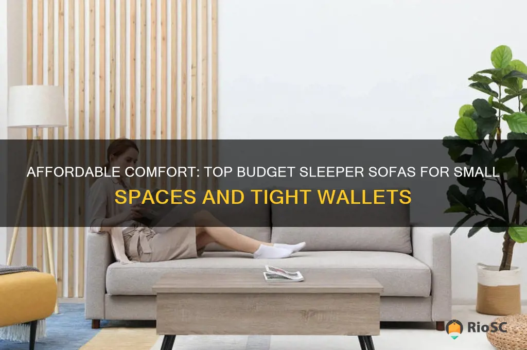best budget leeper sofas