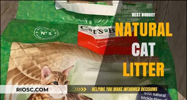 Eco-Friendly and Affordable: Top Budget Natural Cat Litter Options for Your Feline Friend