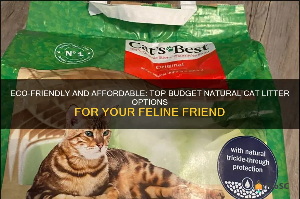 best budget natural cat litter