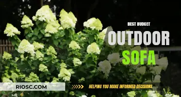 Affordable Comfort: Top Budget-Friendly Outdoor Sofas for Your Patio or Deck