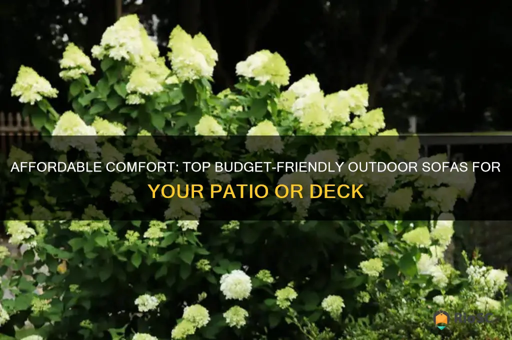 best budget outdoor sofa