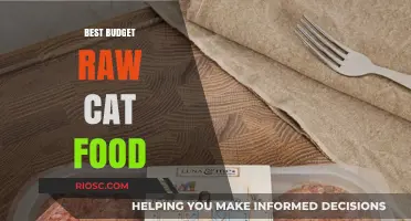 Affordable Nutrition: Top Budget-Friendly Raw Cat Food Options