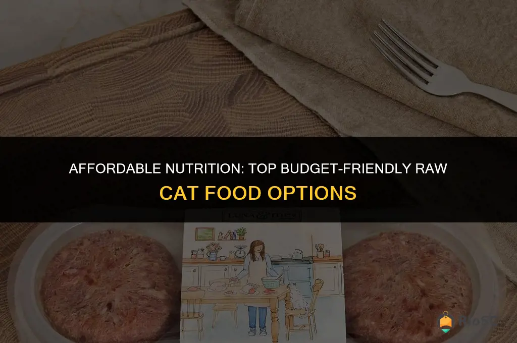 best budget raw cat food