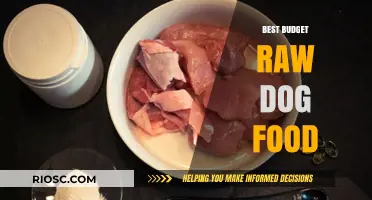 Affordable Nutrition: Top Budget-Friendly Raw Dog Food Options for Health-Conscious Pet Owners
