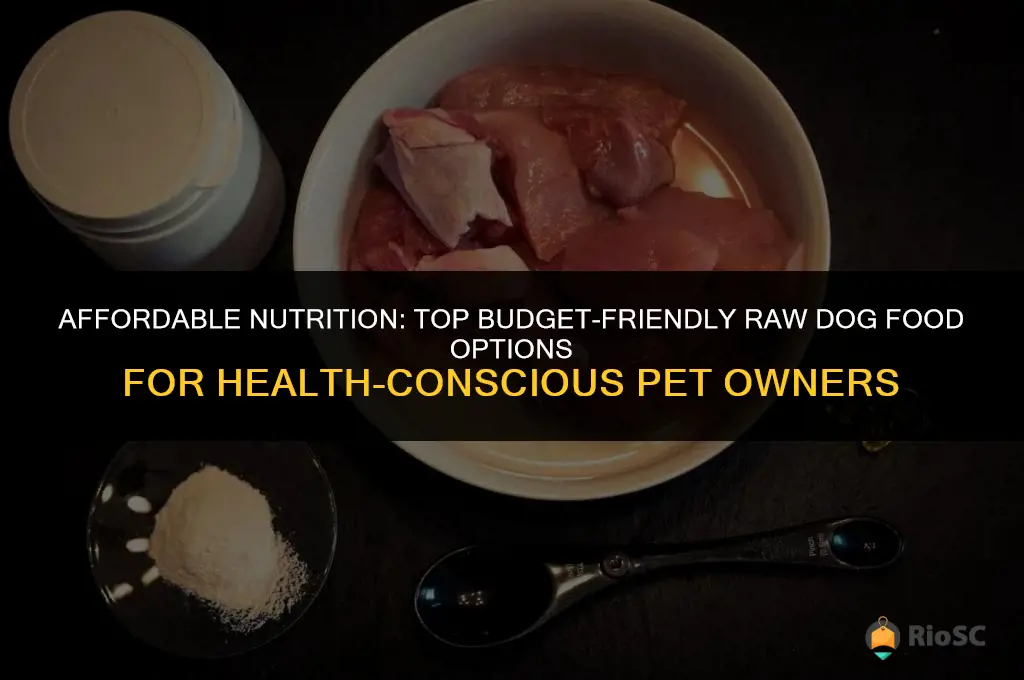 best budget raw dog food