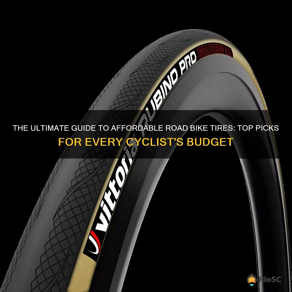 best budget road bike tires