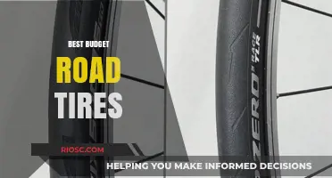 Affordable Performance: Top Budget Road Tires for Smooth and Efficient Rides