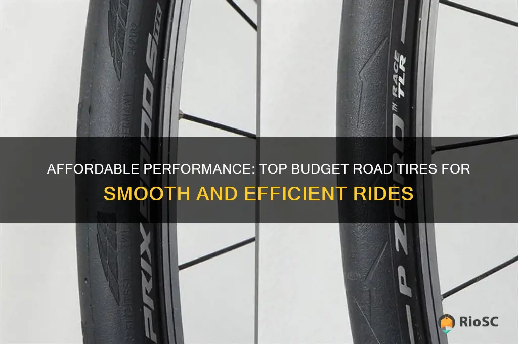 best budget road tires