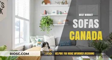 Affordable Comfort: Top Budget-Friendly Sofas in Canada for Every Style and Space
