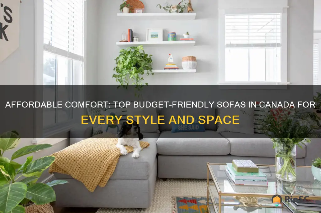 best budget sofas canada
