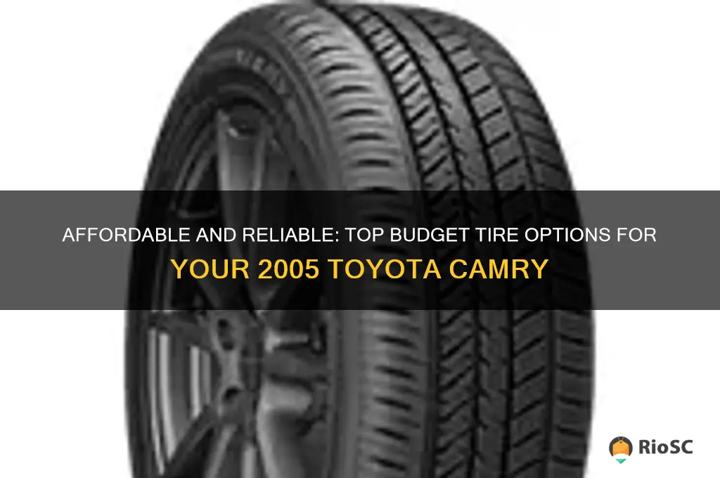 Toyota Camry 2005 Tire Sizenull