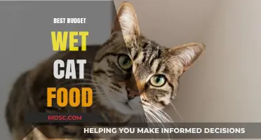 Purr-fectly Affordable: Top Budget Wet Cat Food Picks for Your Feline Friend