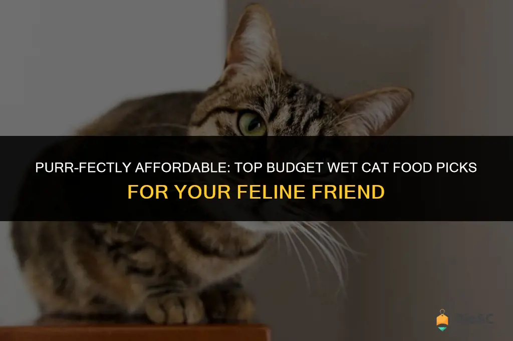 best budget wet cat food