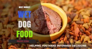 Top Picks for Budget-Friendly Wet Dog Food: Nourishing Your Furry Friend Without Breaking the Bank