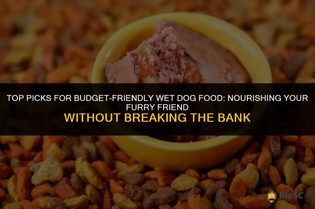 best budget wet dog food