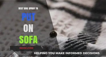 Effective Bug Sprays to Safeguard Your Sofa: Top Picks for Pest-Free Comfort