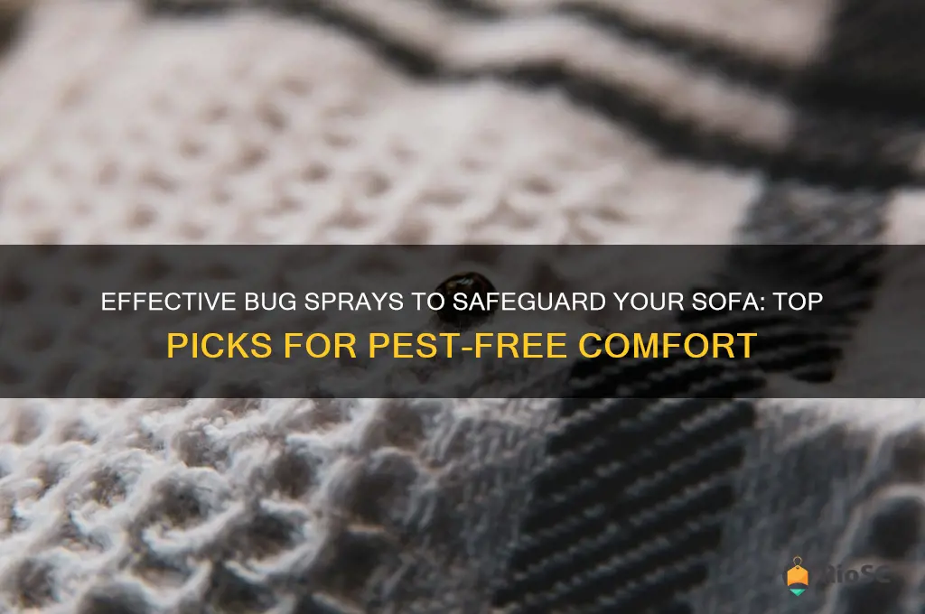 best bug spray to put on sofa
