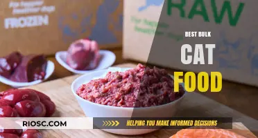Top Picks for Feline Feast: The Best Bulk Cat Food Options for Your Furry Friends