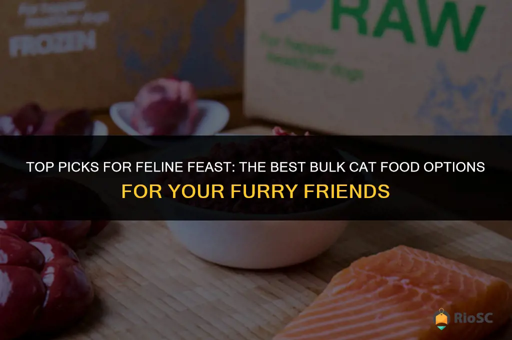 best bulk cat food