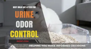 Top Bulk Cat Litter Options for Superior Urine Odor Control