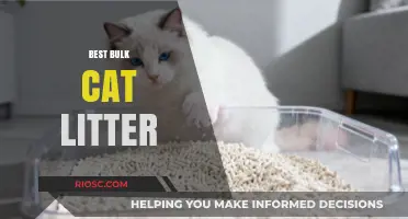 Top Picks for Bulk Cat Litter: Save Money and Keep Your Home Fresh