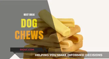 Top-Rated Bulk Dog Chews: Healthy and Long-Lasting Options for Your Pup