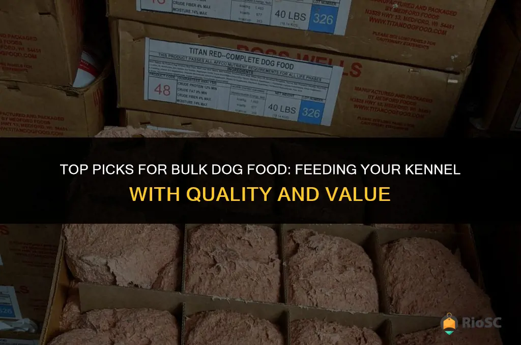 best bulk dog food for kennels