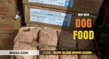 Top Picks for Affordable and Nutritious Bulk Dog Food Options