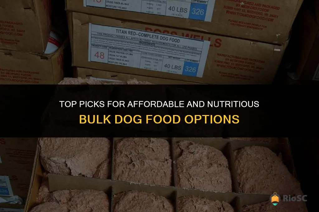 best bulk dog food