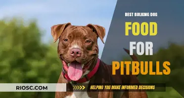 Optimal Nutrition for Pitbulls: Top Bulking Dog Food Choices