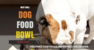 Top Picks for Your Bulldog: The Best Food Bowls for a Happy and Healthy Pup