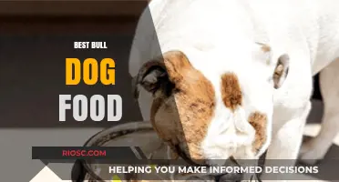 Top Picks for Your Bull Dog's Diet: A Comprehensive Guide to the Best Foods