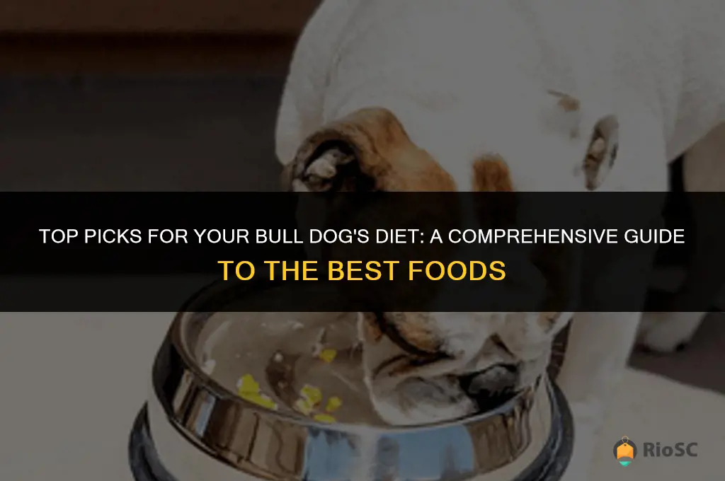 best bull dog food