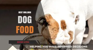 Top Picks for Your Bulldog: The Best Dog Food Options