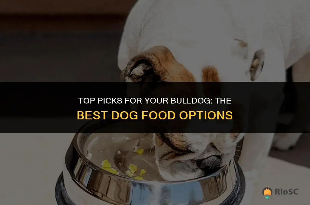 best bulldog dog food
