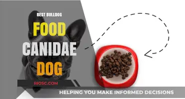 Top Nutrition Picks: The Best Bulldog Food by Canidae for Your Furry Friend
