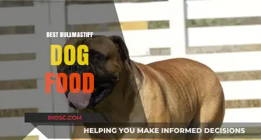 Top Nutrition Picks: Premium Dog Food Options for Your Bullmastiff