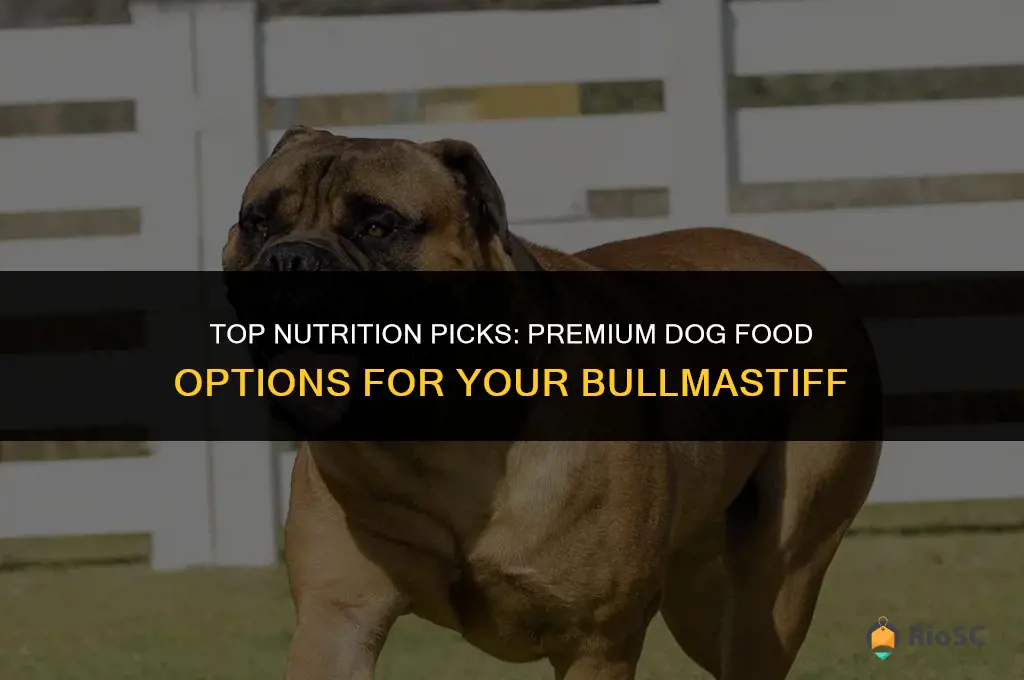 best bullmastiff dog food