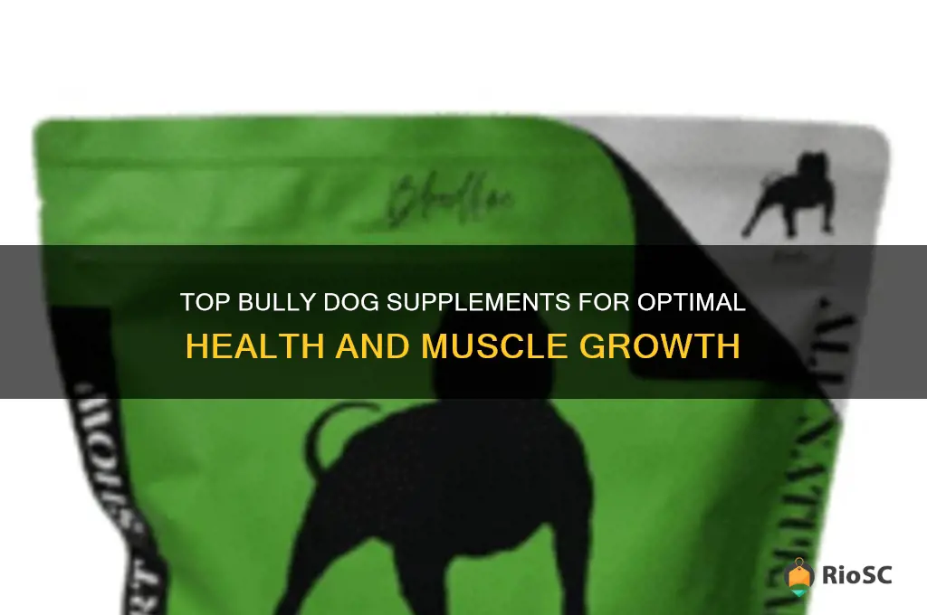 best bully dog supplements