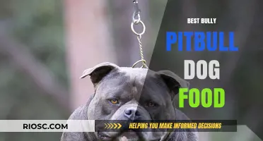 Top-Rated Bully Pitbull Dog Food: Nutrition for Your Strong Companion